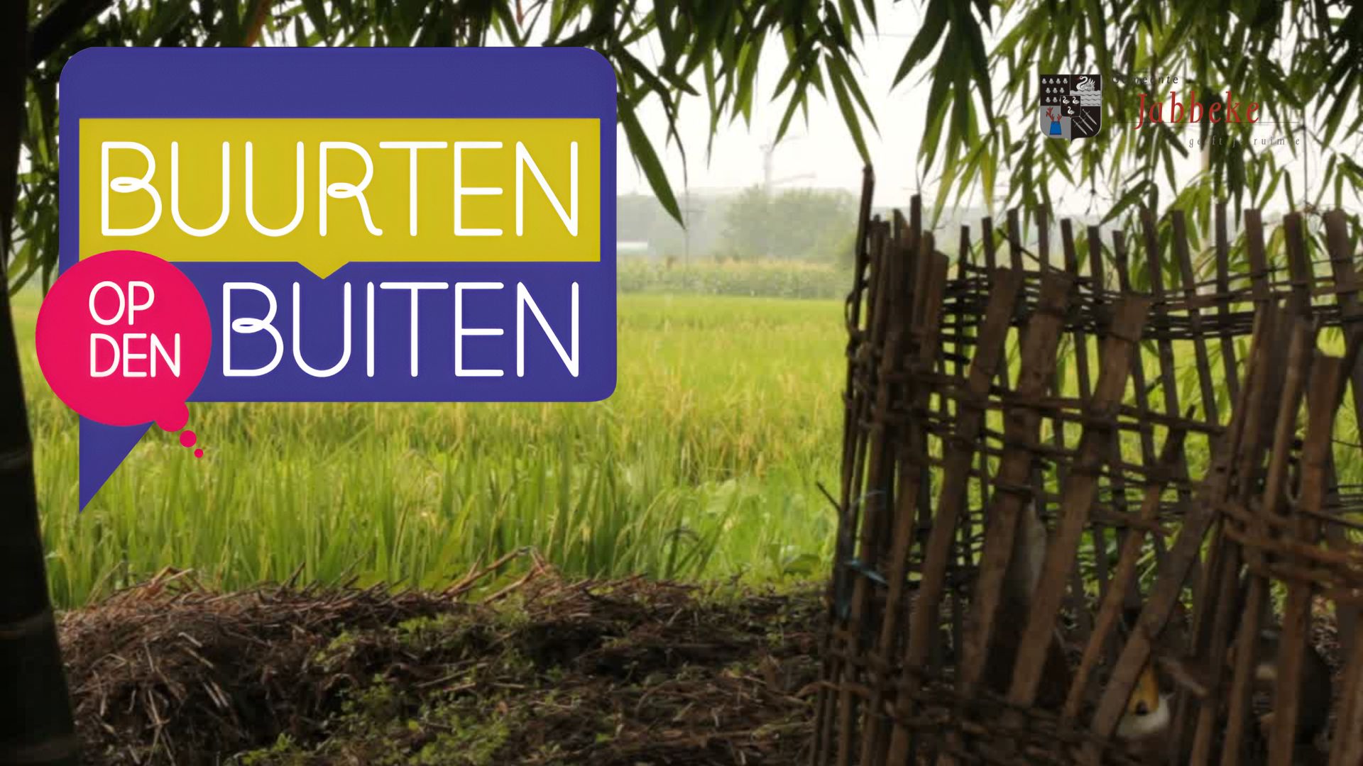 PROJECTOPROEP 'BUURTEN OP DEN BUITEN'