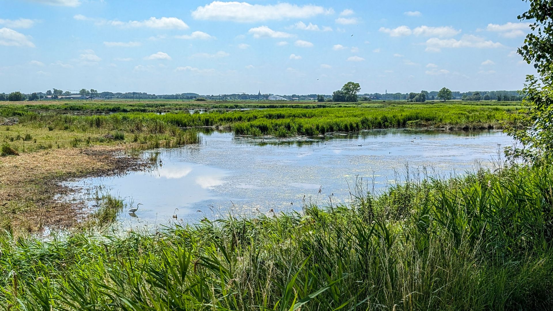 OFFICIËLE OPENING NATUURGEBIED KWETSHAGE
